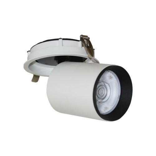 ĐÈN LED DOWNLIGHT CHIẾU ĐIỂM 30W (DFC1303)