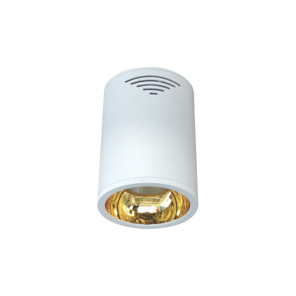 ĐÈN LED CHIẾU SÂU GẮN NỔI TRANG TRÍ 15W (DIB0154)