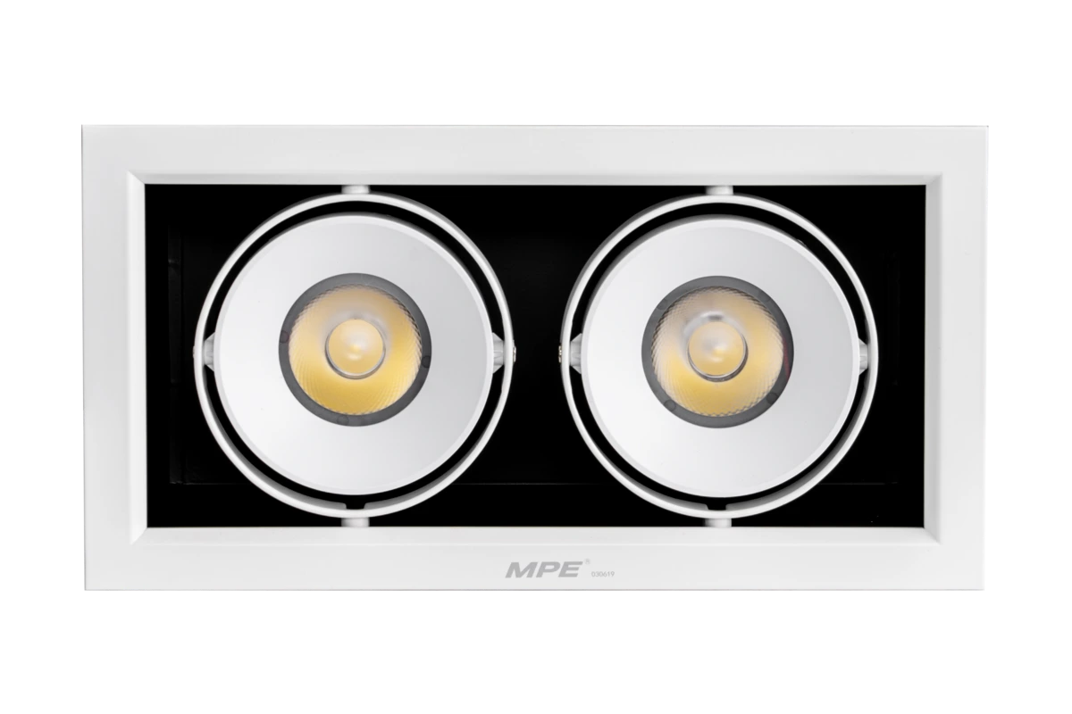 LED Downlight âm trần Chiếu điểm 2 đèn 20W ánh sáng trắng DLS-220T