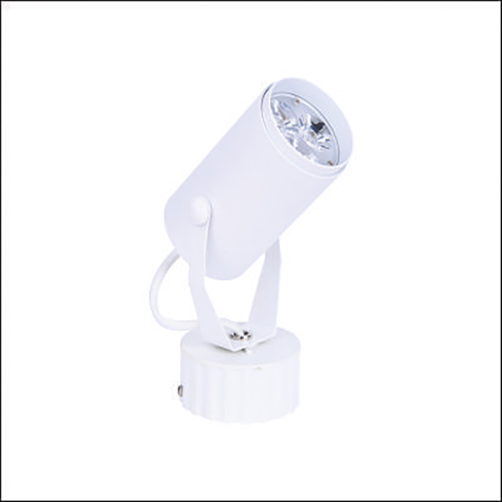 Đèn Rọi Ray FN - 035