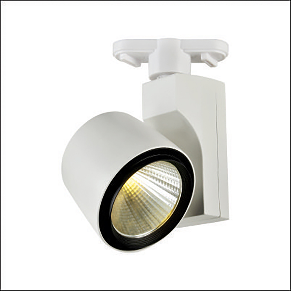 Đèn Rọi Ray FR - 095