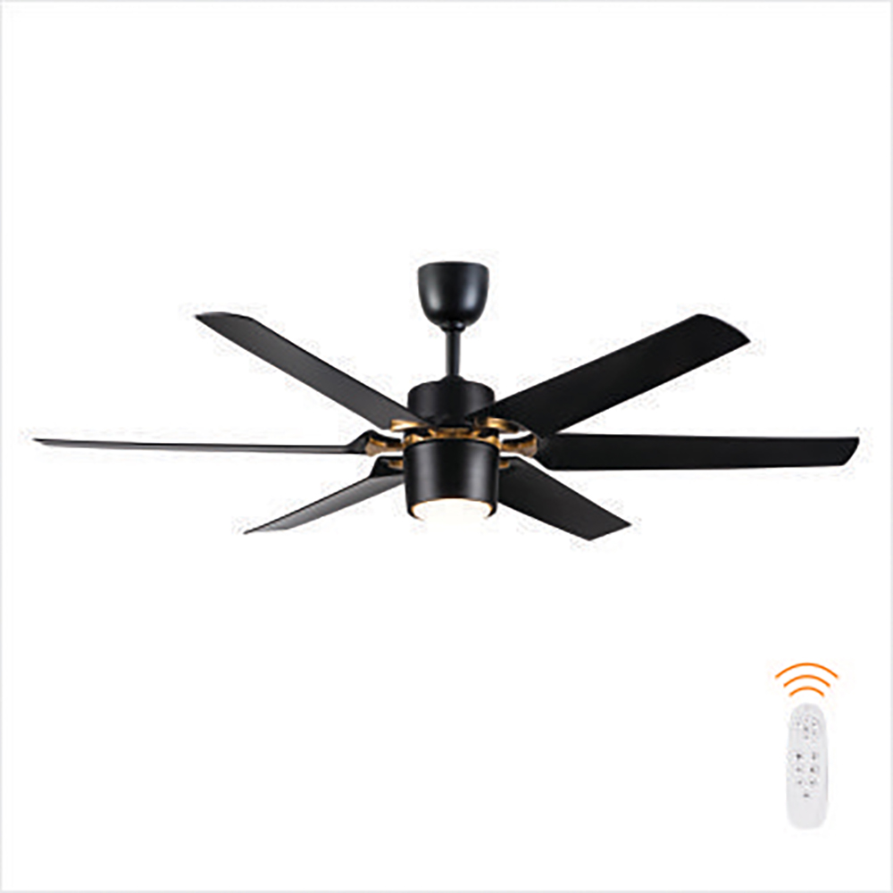 Đèn Quạt Trần MODEL-Q02