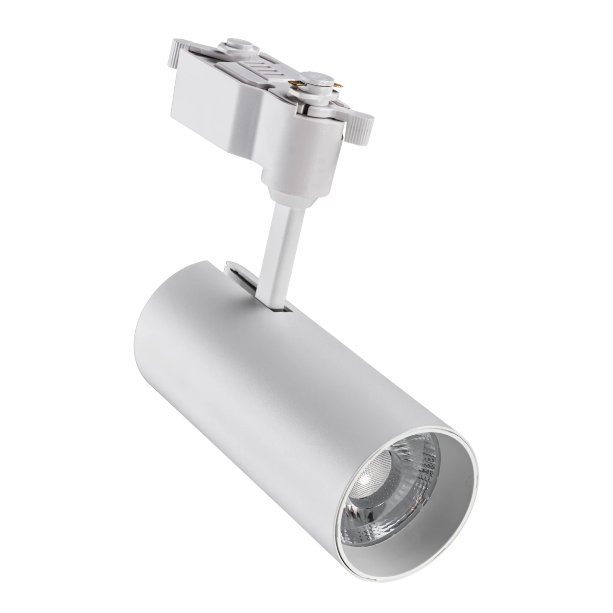 LED chiếu điểm gắn ray màu trắng 12W ánh sáng vàng TSL2-12V