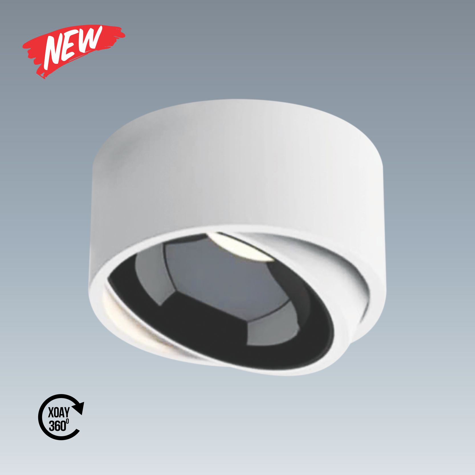 AFC 679 T 10W