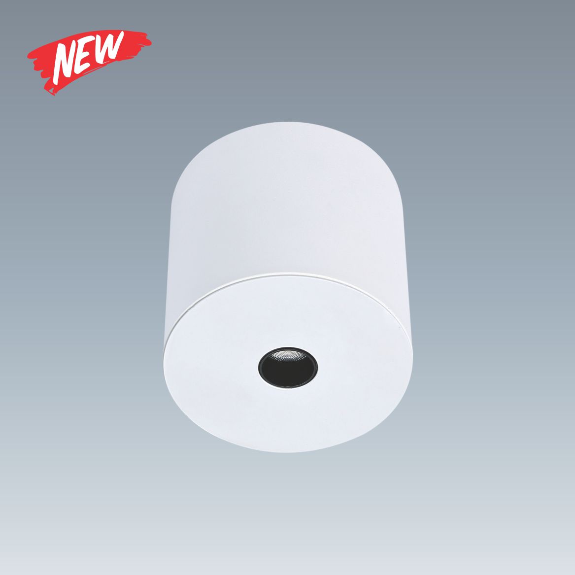 AFC 683 T 10W