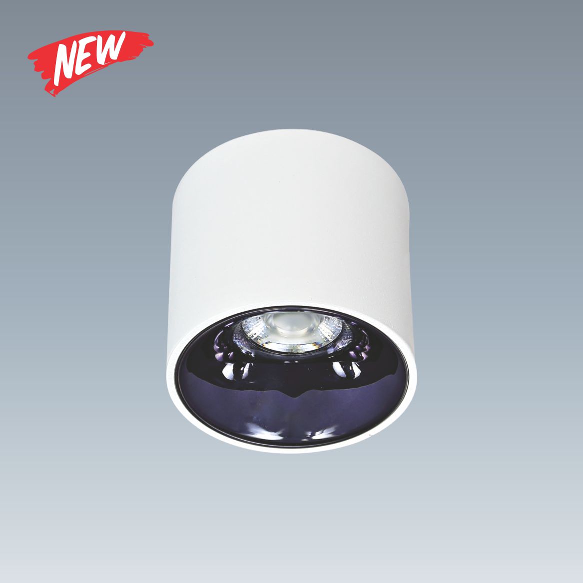 AFC 684 T 10W