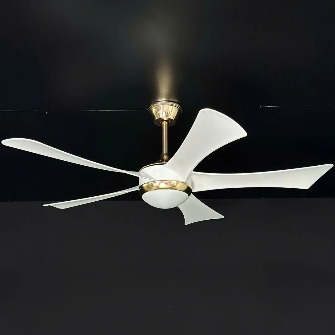 Quạt Trần Đèn QT75