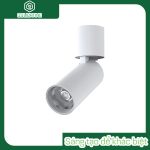 Đèn downlight ốp nổi xoay chỉnh hướng / GSOBR