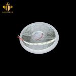 LED Dây LC  - 11B - 5M