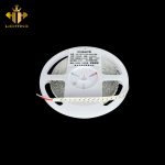 LED Dây LC  - 12B - 10M