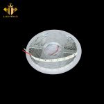 LED Dây LC  - 13B - 5M