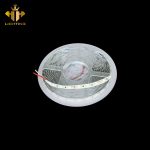 LED Dây LC  - 15B - 5M