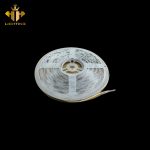 LED Dây LC  - 18B - 5M