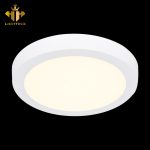 Ốp Trần LED Siêu Mỏng MSS-553