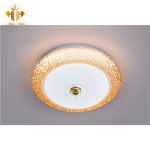 Ốp Trần LED Siêu Mỏng MSS-732