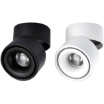 Đèn ốp trần 6W