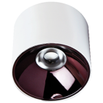 Đèn ốp trần 12W