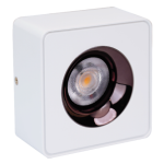 Đèn ốp trần 12W