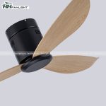 Quạt trần đèn hiện đại FL HD-300 - Ảnh 4
