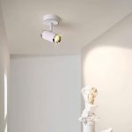 Đèn Tường Rọi RT9118T1