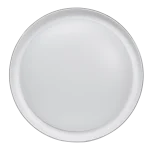 LED ốp nổi trang trí mặt tròn 40W - 3 chế độ màu RCLH-40/3C