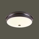 Ốp Trần LED Siêu Sáng MSS - 39