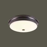 Ốp Trần LED Siêu Sáng MSS - 38