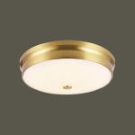 Ốp Trần LED Siêu Sáng MSS - 36