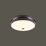 Ốp Trần LED Siêu Sáng MSS - 37