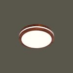 Ốp Trần LED Siêu Sáng MSS - 24
