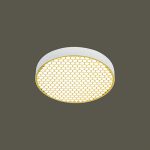 Ốp Trần LED Siêu Sáng MSS - 07