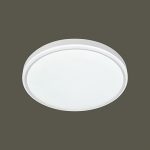 Ốp Trần LED Siêu Sáng MSS - 45