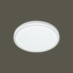 Ốp Trần LED Siêu Sáng MSS - 43