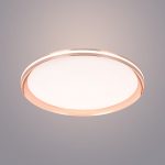Ốp Trần LED Siêu Sáng MSS - 702