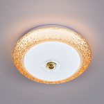 Ốp Trần LED Siêu Sáng MSS - 742