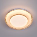 Ốp Trần LED Siêu Sáng MSS - 746