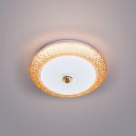 Ốp Trần LED Siêu Sáng MSS - 732