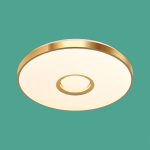 Ốp Trần LED Siêu Sáng MSS - 654