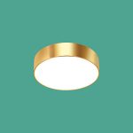 Ốp Trần LED Siêu Sáng MSS - 597