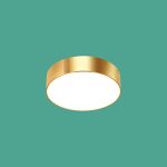 Ốp Trần LED Siêu Sáng MSS - 593