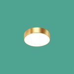 Ốp Trần LED Siêu Sáng MSS - 591