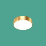 Ốp Trần LED Siêu Sáng MSS - 592