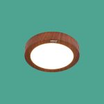 Ốp Trần LED Siêu Sáng MSS - 612