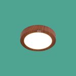 Ốp Trần LED Siêu Sáng MSS - 611