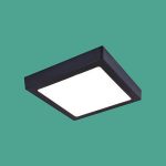 Ốp Trần LED Siêu Sáng MSS - 556 D