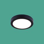 Ốp Trần LED Siêu Sáng MSS - 551 D