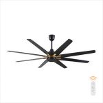 Đèn Quạt Trần MODEL-Q67