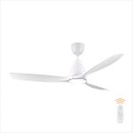 Đèn Quạt Trần MODEL-Q21