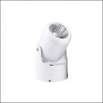 Đèn Rọi Ray FN - 269