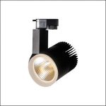 Đèn Rọi Ray FR - 211